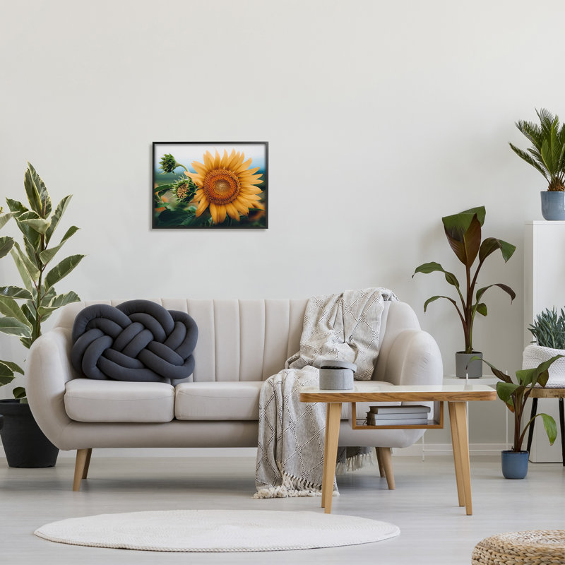 «Evening Sunflower», photographie sur bois par Erin Marie, photographie, H 16 po x l 20 po x P 1,5 po