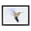 Flying Hummingbird Bird - Picture Frame Graphic Art Print-56712938-56712935
