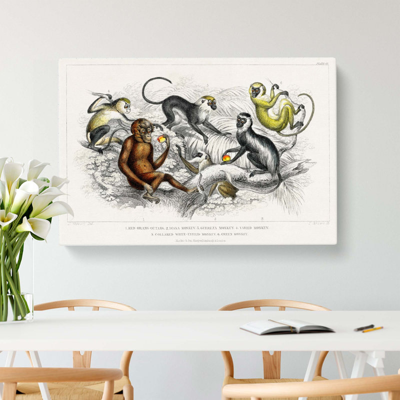 Orangutan And Monkeys by Oliver Goldsmith - Wrapped Canvas, 40cm H x 60cm W x 3cm D