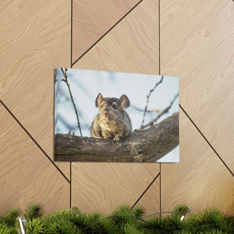 «Chinchilla Hunting Chinchilla on Hunt», reproduction d'art mural, H 12 po x l 16 po