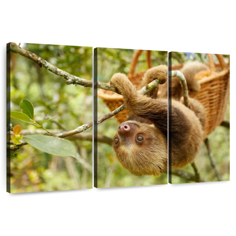 Paresseux Brampt sur un arbre, H 42 po x l 65 po