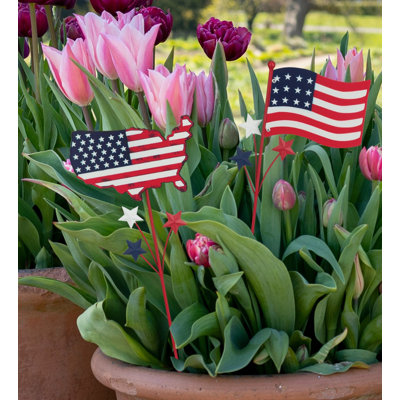 Ensemble de deux pots de fleurs décoratifs en métal 18 pouces Americana