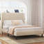 Lit plateforme double-904687760