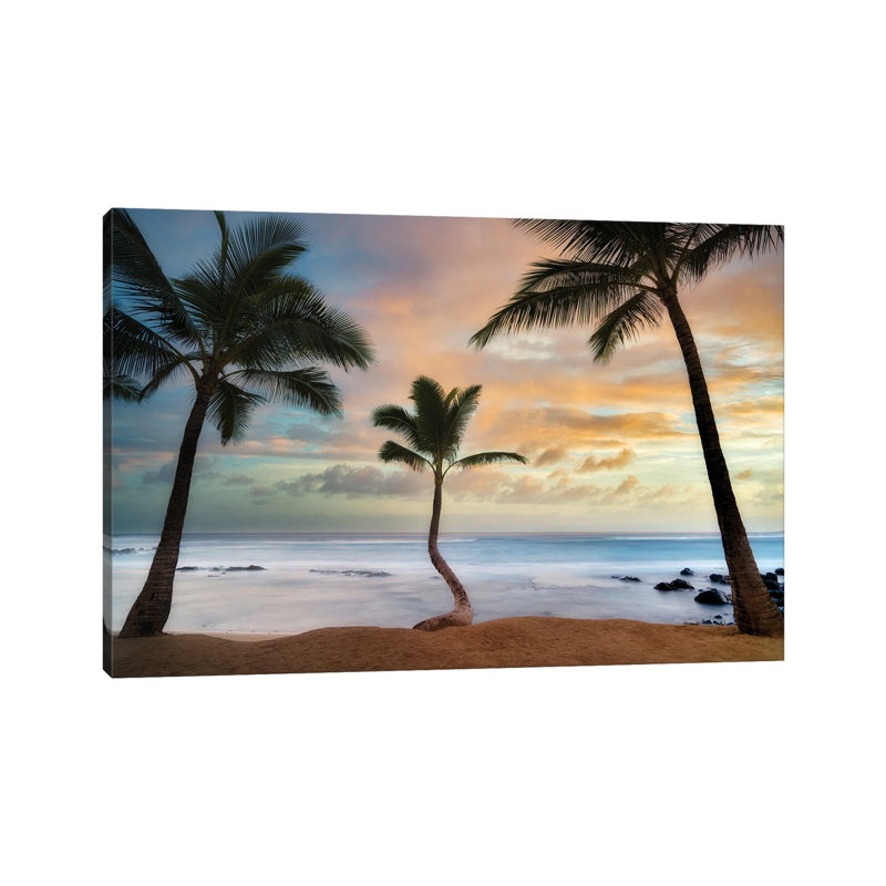 «Palm Sunrise III» par Dennis Frates - Toile tendue avec châssis sur toile tendue, H 18 po x l 26 po x P 1,5 po