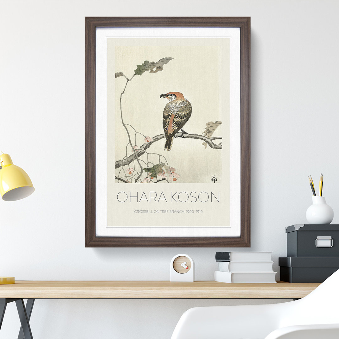 Crossbill On A Tree Branch by Ohara Koson - Single Picture Frame Print