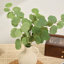 Branche d'eucalyptus artificiel vert Audet (1 tige)
