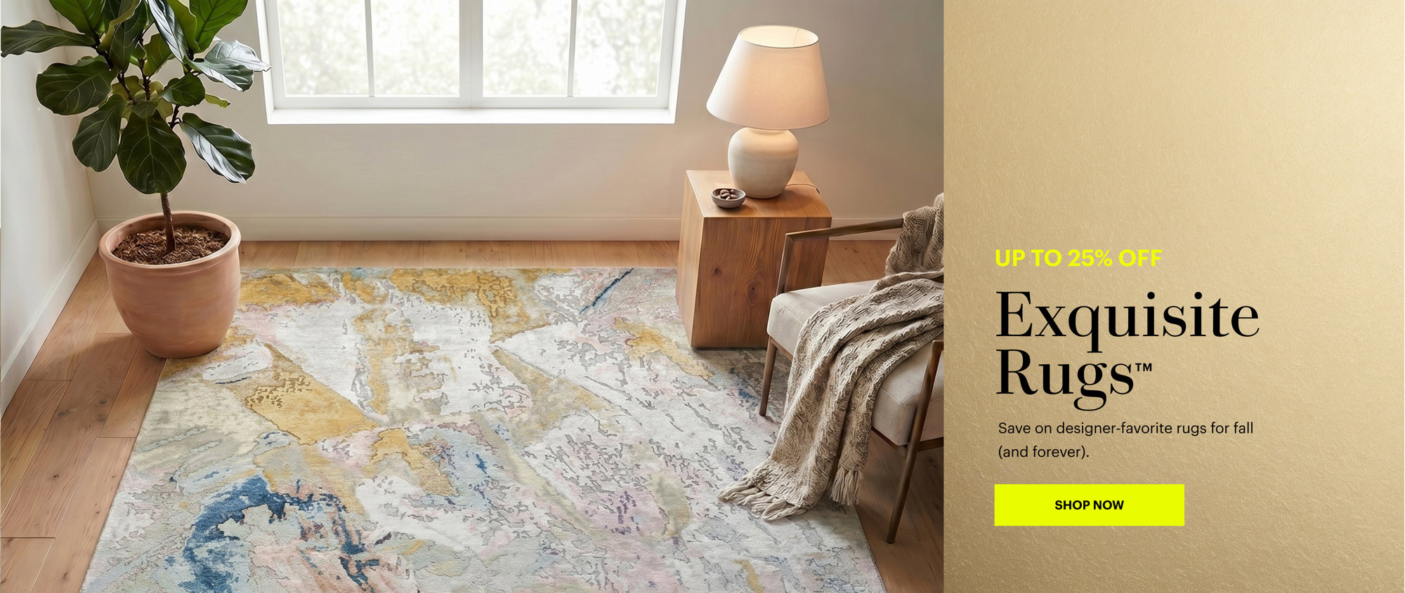 Up to 25% off Exquisite Rugs. Save now.