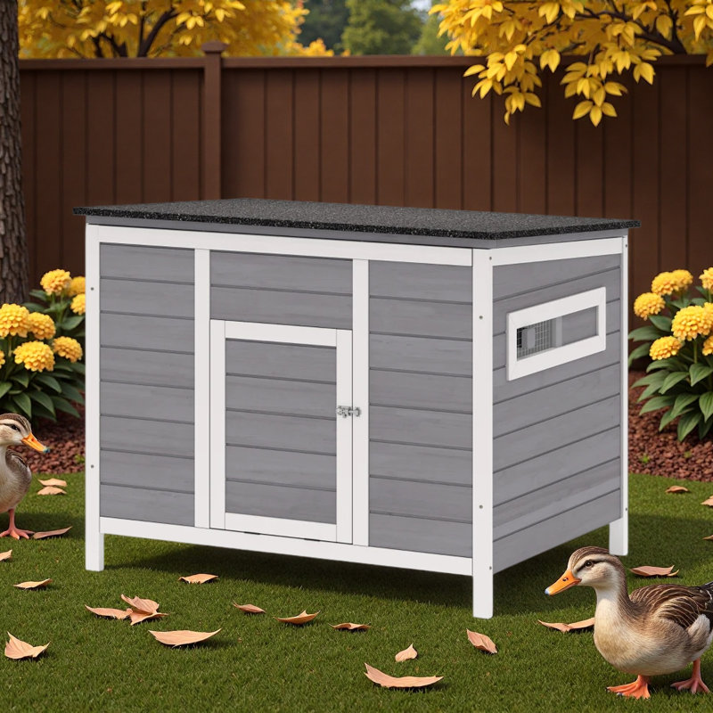 Maison pour animaux en bois durable, cage à poules, clapier avec toit ouvrable