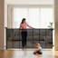 Pet Gate Accessory With Door