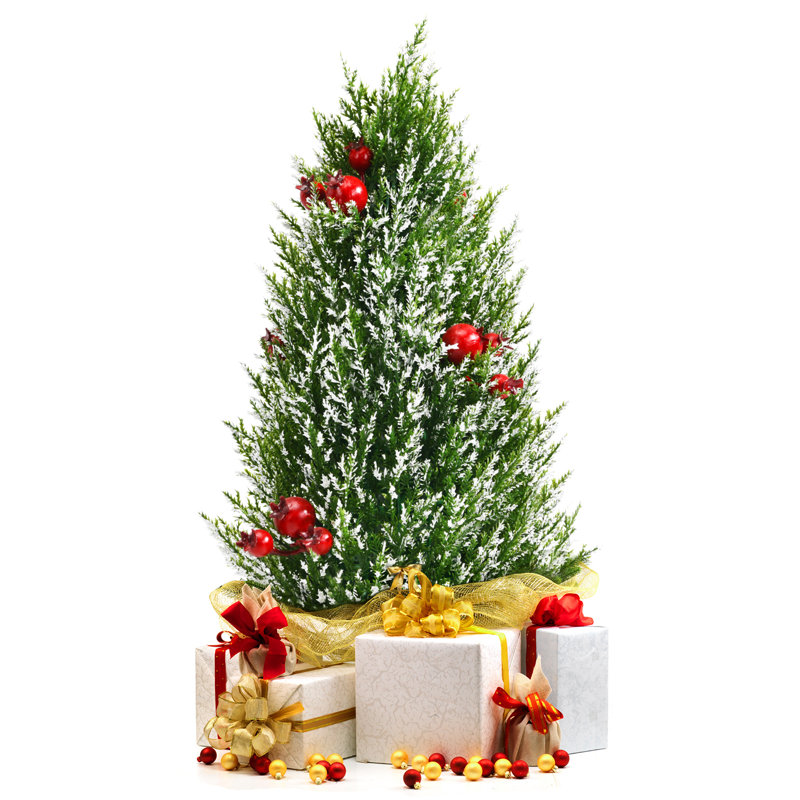 Christmas Tabletop Tree