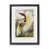Black Framed Paper is unavailable