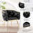 Pegeen 16.9'' H Velvet Upholstered Metal Armchair-457018519