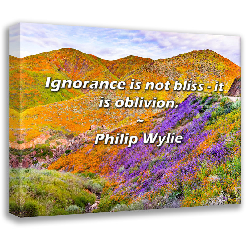 Philip Wylie Citation: L'ignorance n'est pas un bonheur - c'est de l'oublie., H 20 po x l 24 po