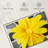 Harnek Bright Yellow Daisy-109395821