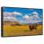 Floating Frame Black