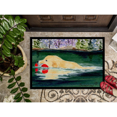 Non-Slip Indoor Doormat