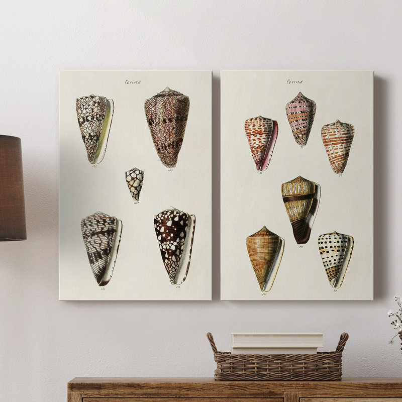 Collection Cone Shell III - Toile tendue avec châssis de qualité supérieure - Prêt à accrocher, H 36 po x l 48 po