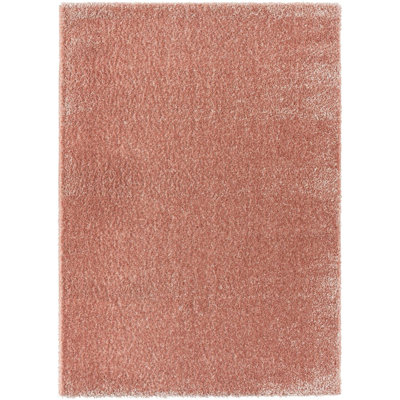 Indoor Rug