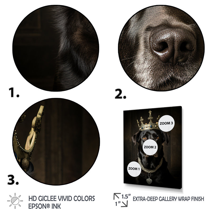 «Crowned Royal Labrador Dog I», art mural chien, H 32 po x l 16 po x P 1 po, Cadre flottant noir