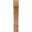 Genouillère Balboa-31229034-31228637-29309786