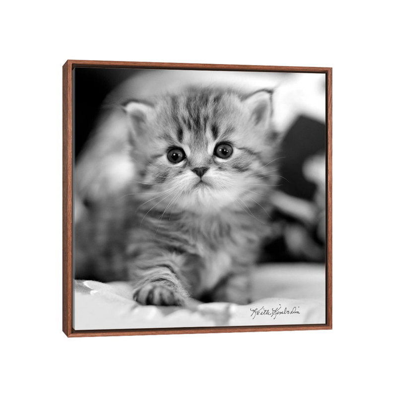 Mine by Keith Kimberlin - Print on Canvas, 45.72 cm H x 45.72 cm W, Classic Brown Wood Framed
