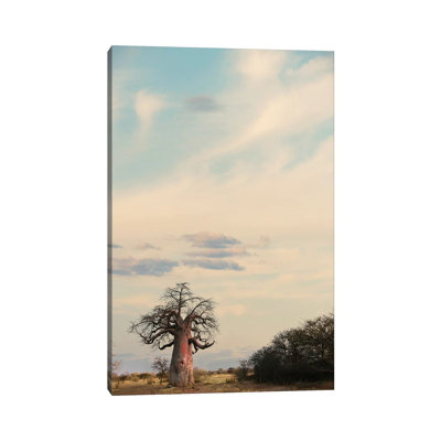 Naye Naye Baobab III 1 Piece Wrapped Canvas Wall Art