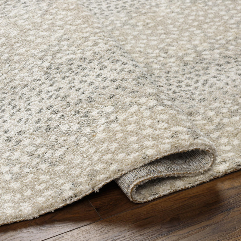 Rectangle Makila Abstract Machine Woven Polyester/Polypropylene Area Rug in Light Gray/Beige, Rectangle 7'10" x 10'
