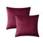 Atkison Velvet Scatter Cushion Cover (Set of 4)-999789332