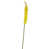 Yellow is out of stock