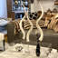Polished White Kudu Horn Inner on Lucite Stand-570586156