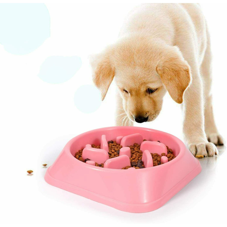 Fun Slow Feeder Anti Choke Dog Food Bowl Nonslip Pet Eat Slow