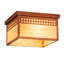 2 - Light Flush Mount