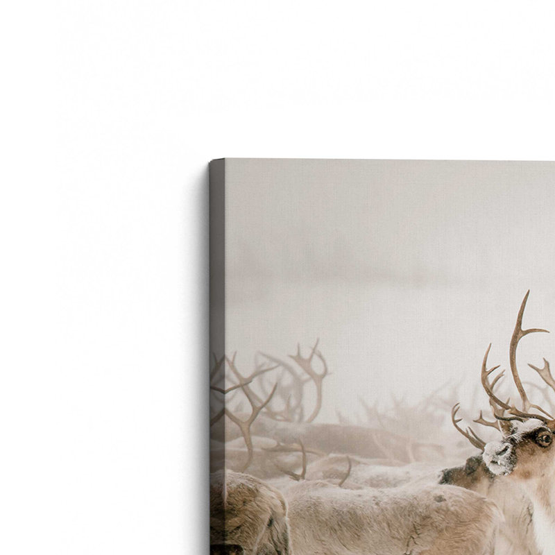 Splendor of Nature, grande impression sur toile, H 36 po x l 54 po