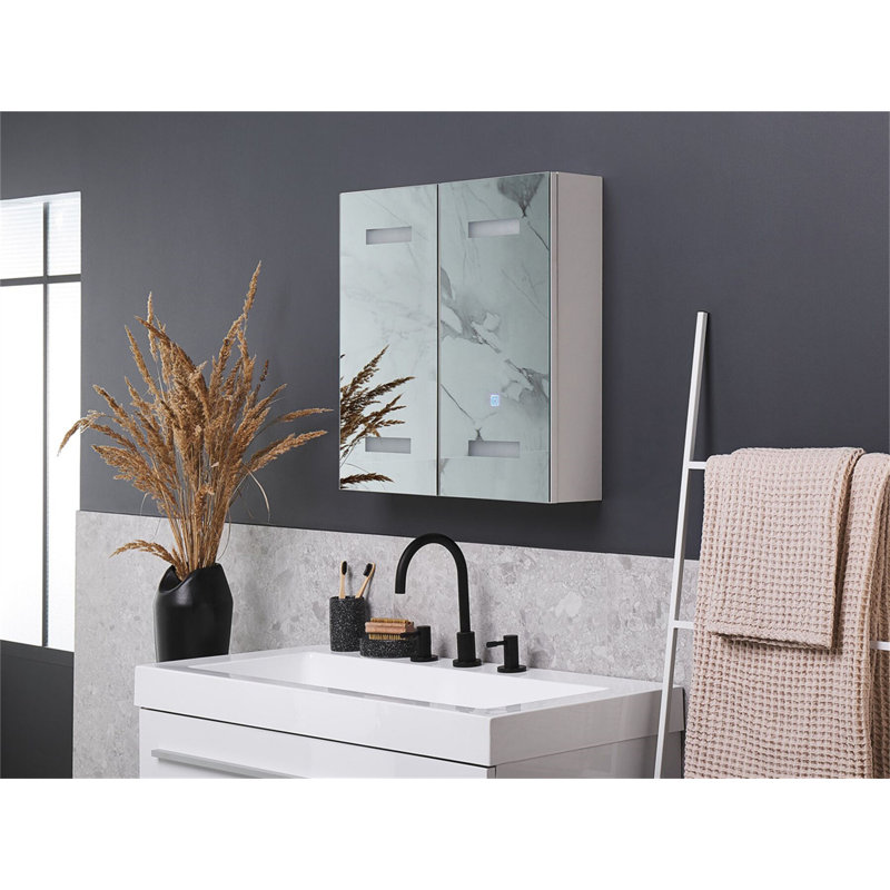 Tellis 600mm W 600mm H Surface Frameless Medicine Cabinet Mirror 2 Fixed