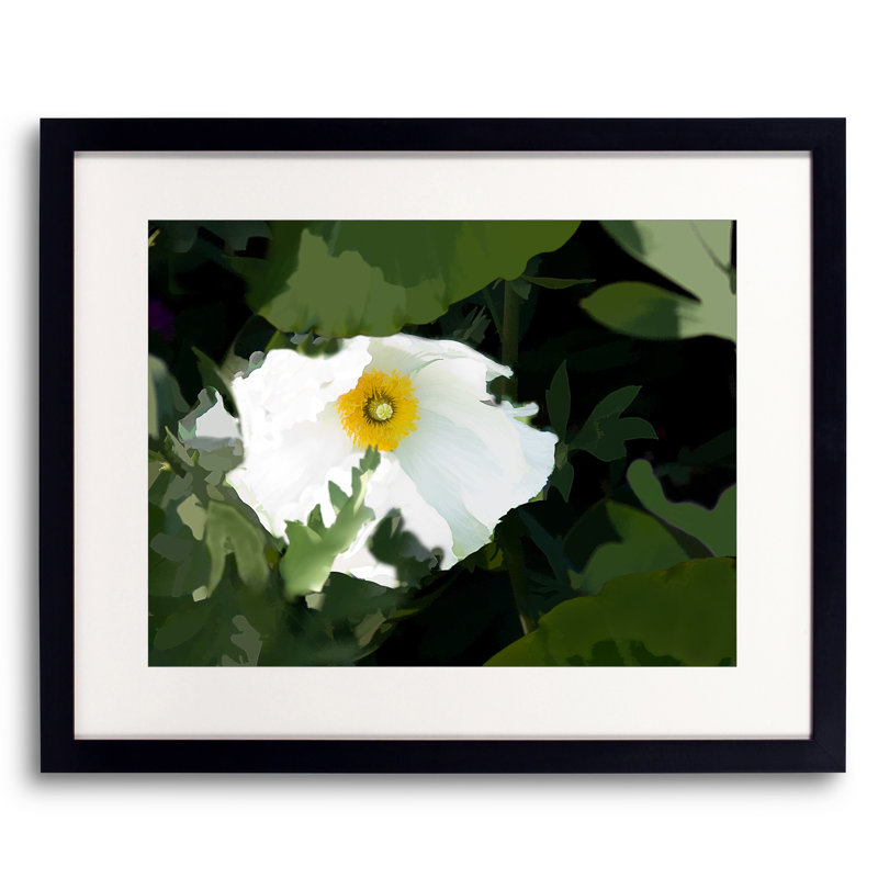 Oncoba Spinosa Print by Tom Kostes, 17.25" H x 21.25" W x 0.875" D