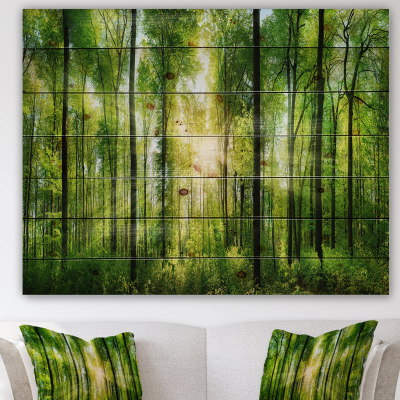 «Forest with Rays of Sun Panorama», photographie, H 36 po x l 46 po x P 0,78 po, Bois naturel