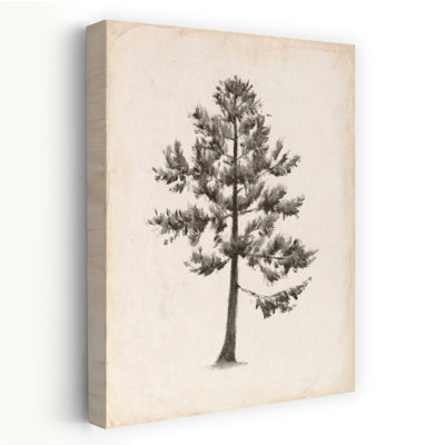 Into The Woods Trees I V2 Abstract Contemporary Pine Tree Landscape Nature Wall Art Print