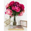 Grande et élégante pivoine rose / magenta