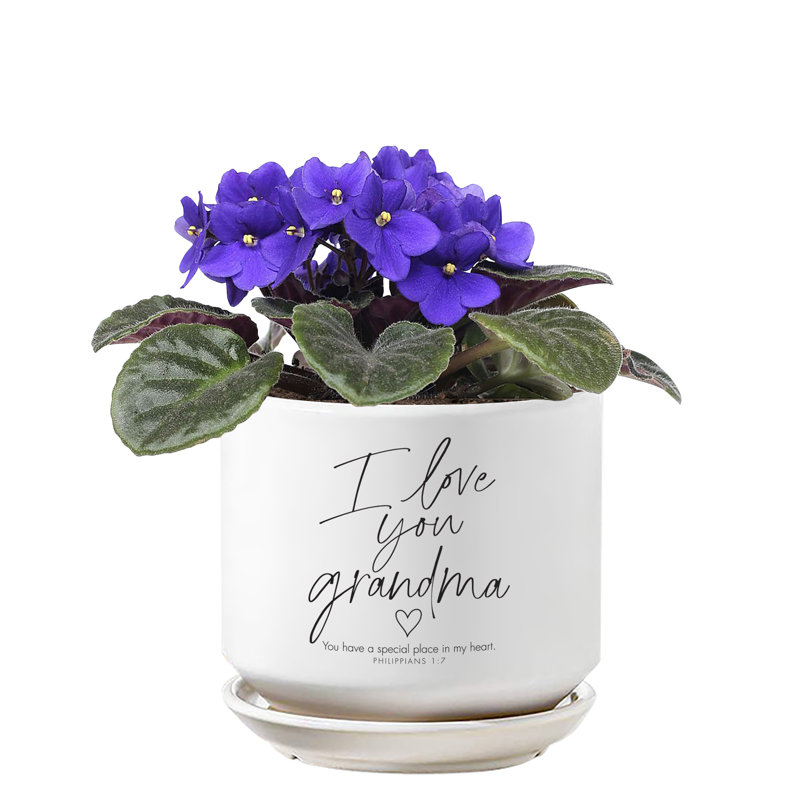 Jardinière I Love You Grandma Philippians 1