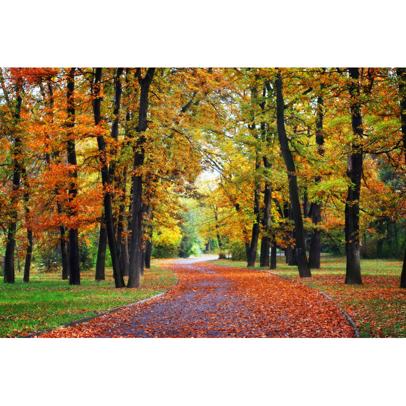 Autumn In Park - Wrapped Canvas Print, 81cm H x 122cm W x 3.8cm D
