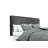 Zaniyah Upholstered Headboard-259014175-259009518