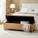 Mayowa Modern 60" Wide Storage Bench with  Two Ottomans and Diamond Weave Patterns