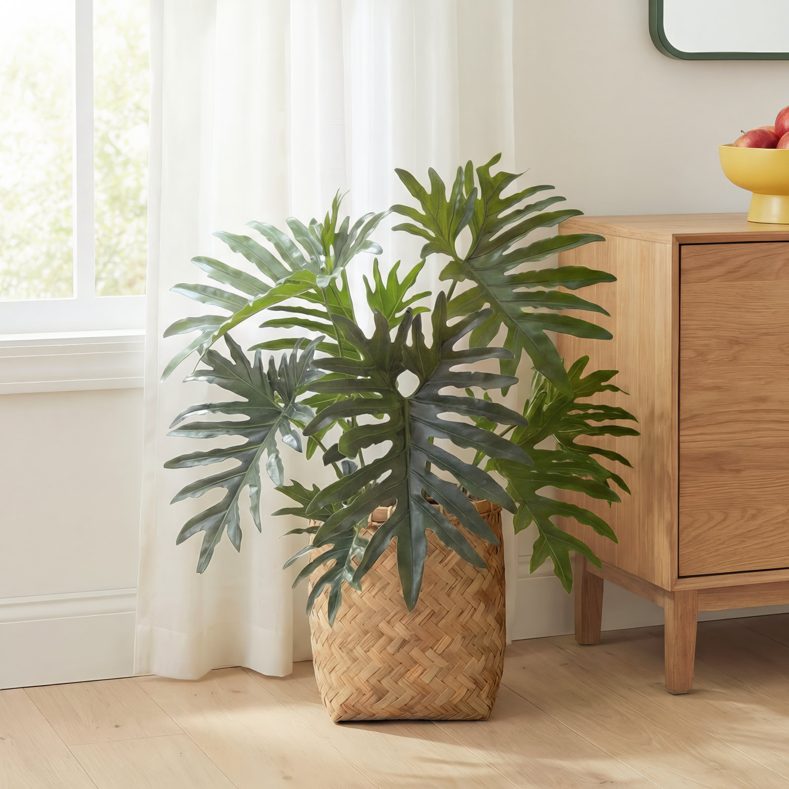 Em 2.5' Philodendron Plant with Bamboo Planter