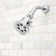 Vintage 6 Jet 1.75 GPM Multi Function Adjustable Shower Head