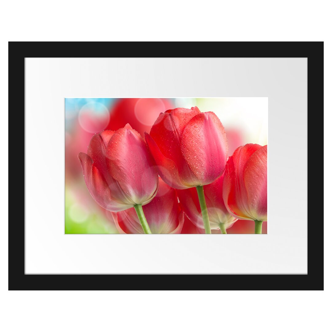 Gerahmtes Poster Rote Tulpen