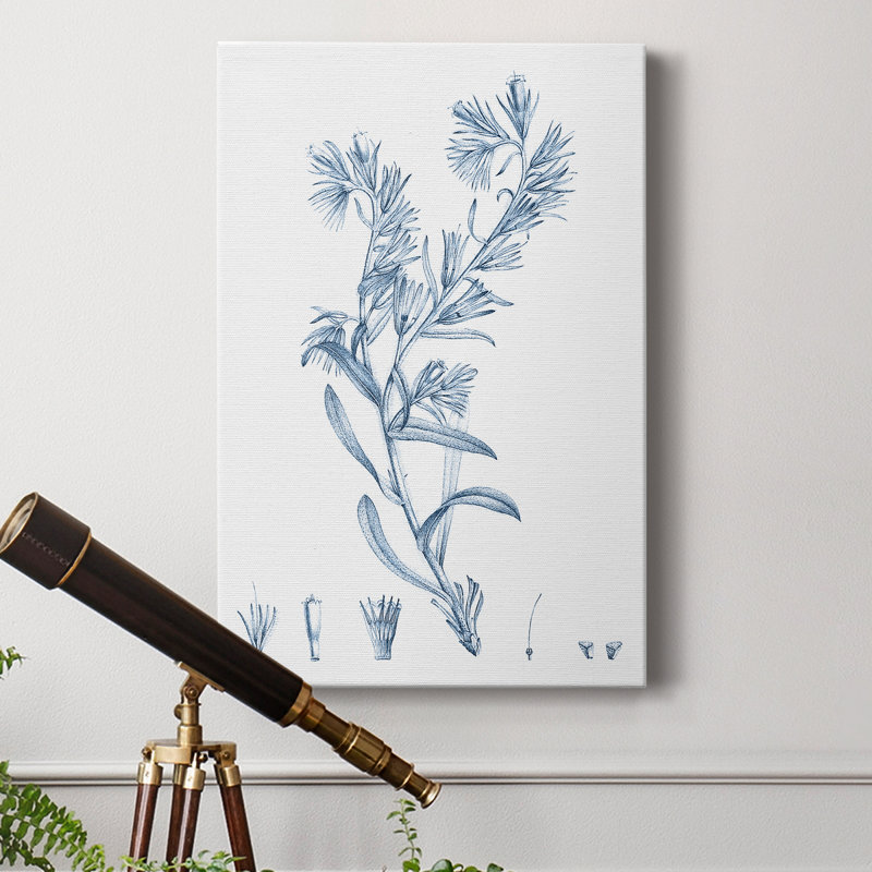 Antique botanique en bleu II - impression, H 27 po x l 18 po x P 1 po