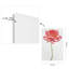 « rose sur blanc », impression sur verre Rose