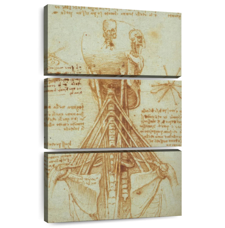 Anatomie du cou Keiri