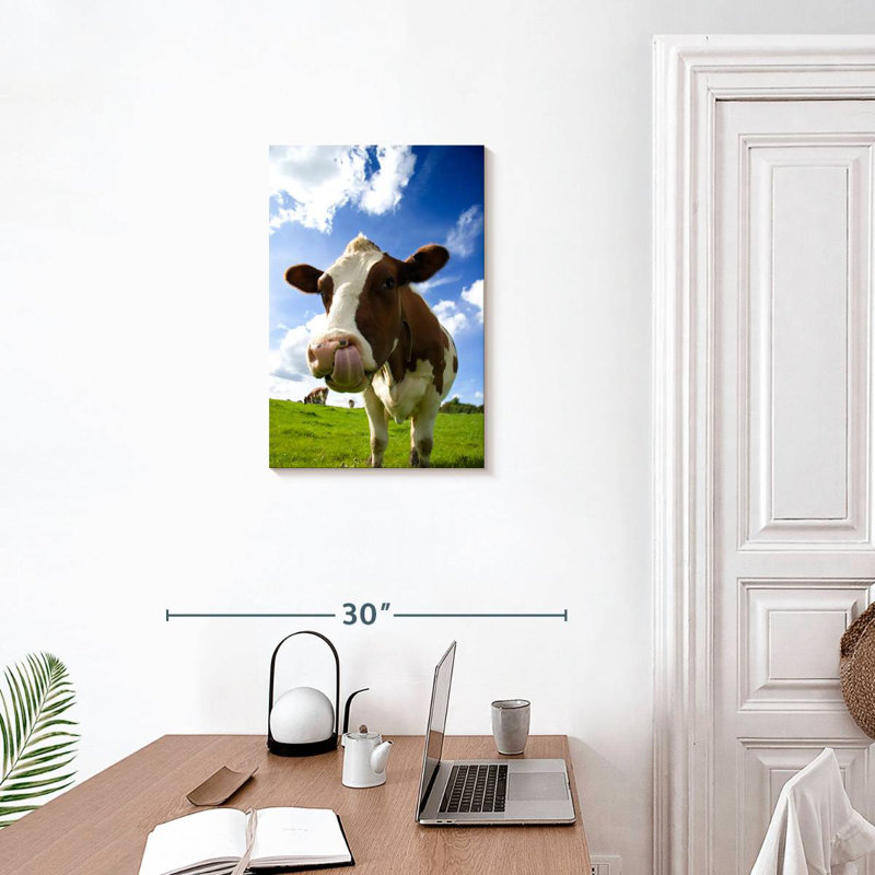 Brampt Cow Licking Nose, 24" H x 16" W
