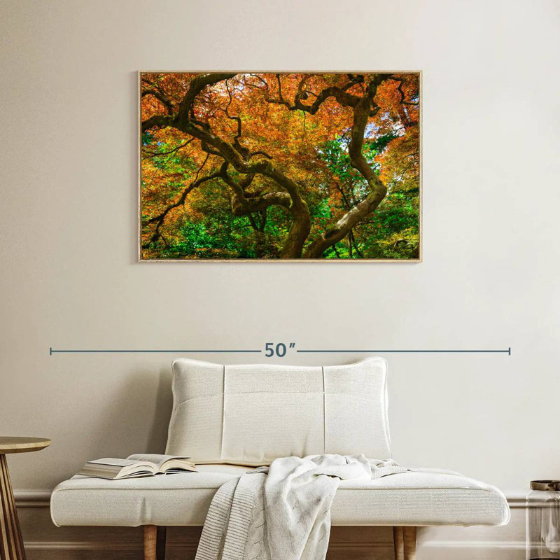 Mossy Maple Tree, Floating Frame Natural Wood, 37" X 25"